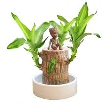 Barzallian Wood (ST-101)